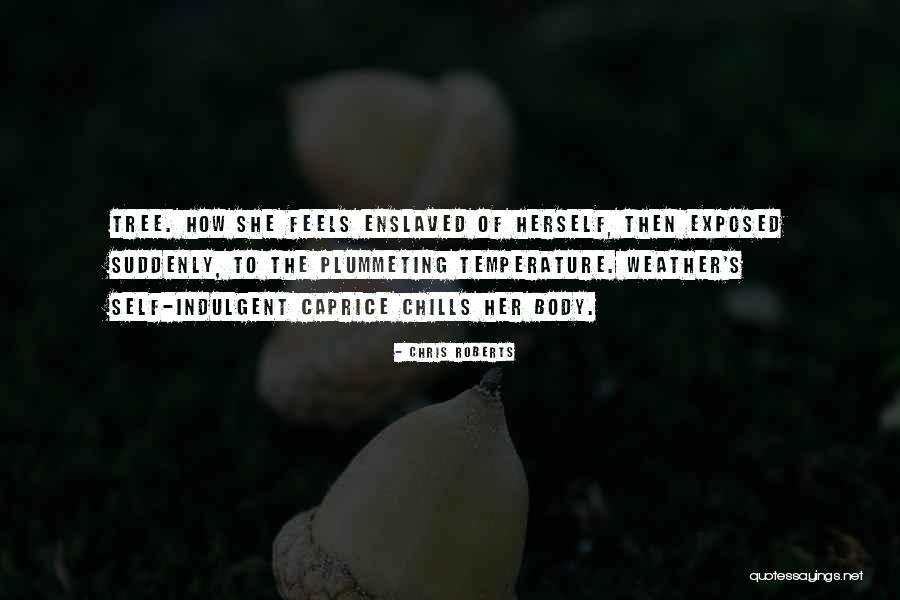 Lysette Quotes By Chris Roberts Lysette Quotes By Chris Roberts
