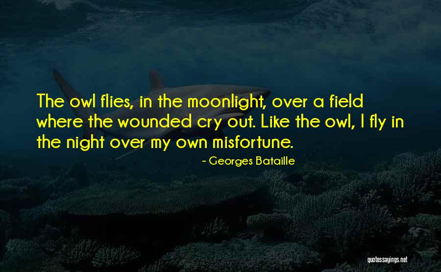 Lysosomal Membrane Quotes By Georges Bataille Lysosomal Membrane Quotes By Georges Bataille