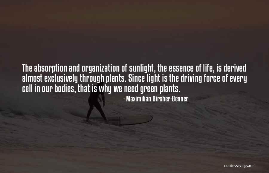 Lysosomal Membrane Quotes By Maximilian Bircher-Benner Lysosomal Membrane Quotes By Maximilian Bircher-Benner