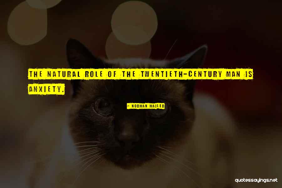 Lyties Simboliai Quotes By Norman Mailer Lyties Simboliai Quotes By Norman Mailer
