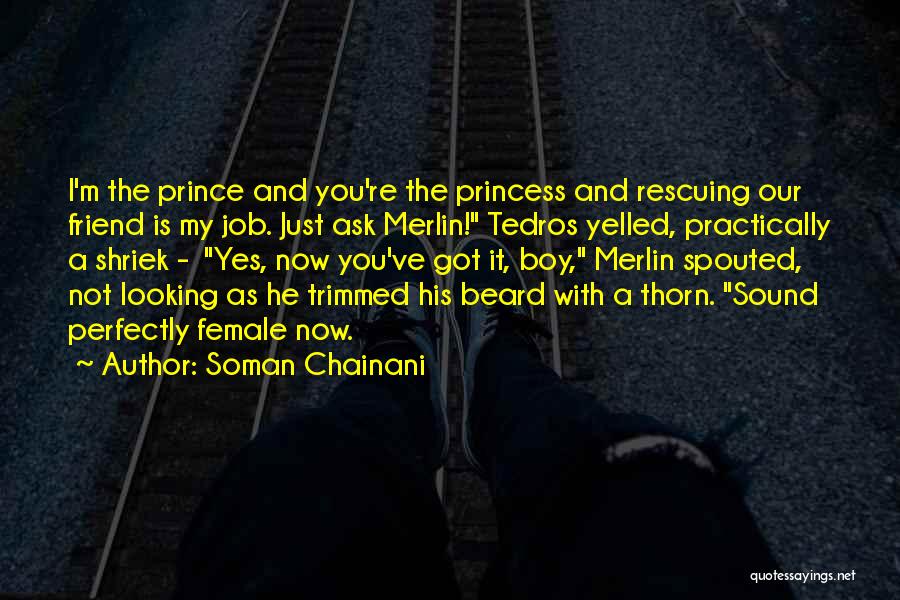 M A Princess Quotes By Soman Chainani