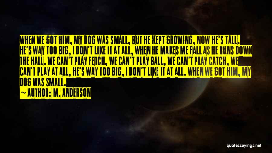 M. Anderson Quotes 1968301