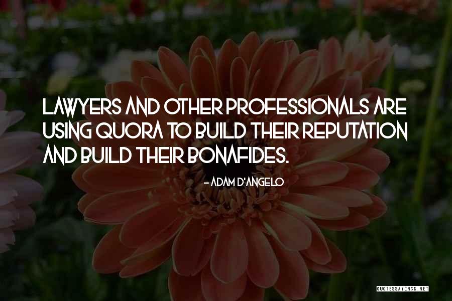 M Angelo Quotes By Adam D'Angelo M Angelo Quotes By Adam D'Angelo