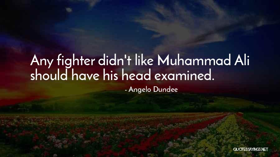 M Angelo Quotes By Angelo Dundee M Angelo Quotes By Angelo Dundee