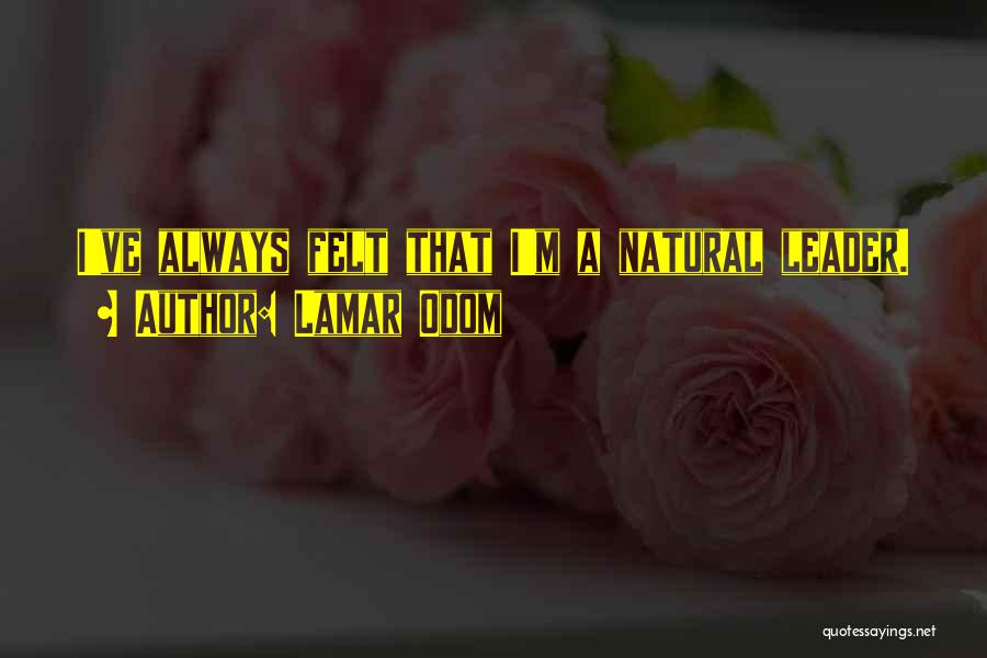 M.b. Lamar Quotes By Lamar Odom