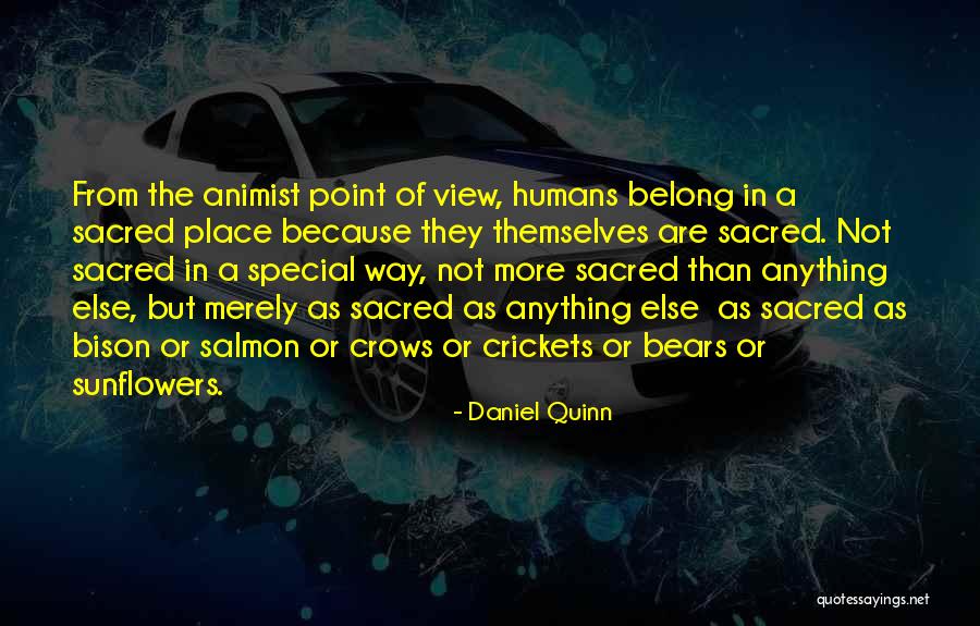 M Bison Quotes By Daniel Quinn M Bison Quotes By Daniel Quinn