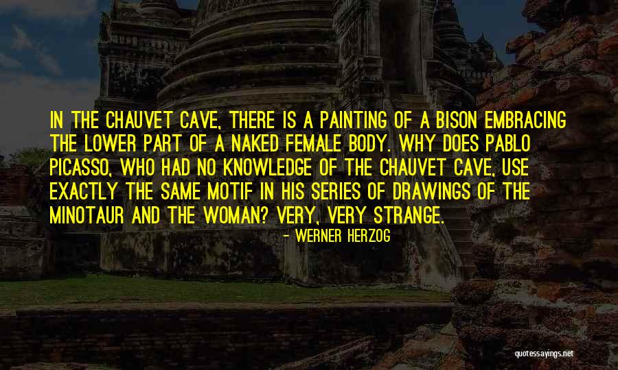 M Bison Quotes By Werner Herzog M Bison Quotes By Werner Herzog