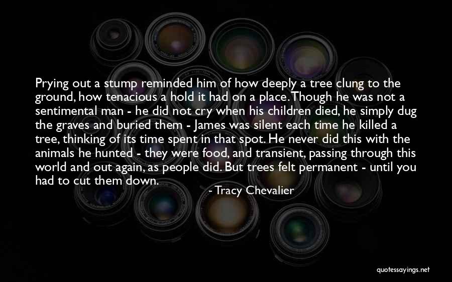 M Chevalier Quotes By Tracy Chevalier M Chevalier Quotes By Tracy Chevalier