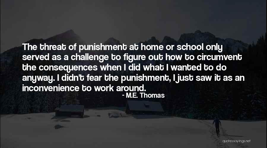 M.E. Thomas Quotes 2249919