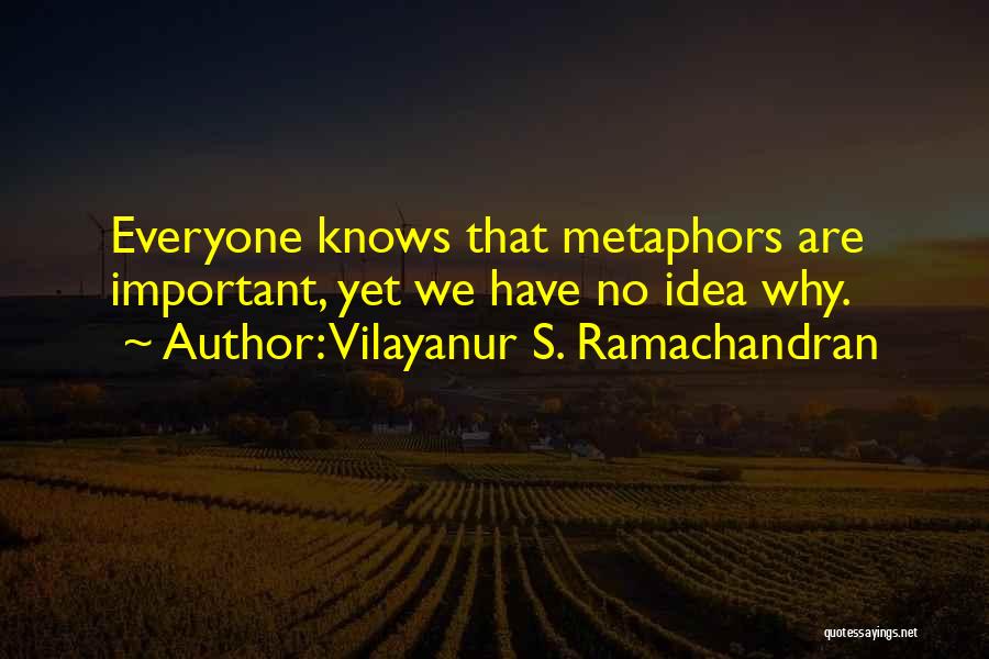 M G Ramachandran Quotes By Vilayanur S. Ramachandran