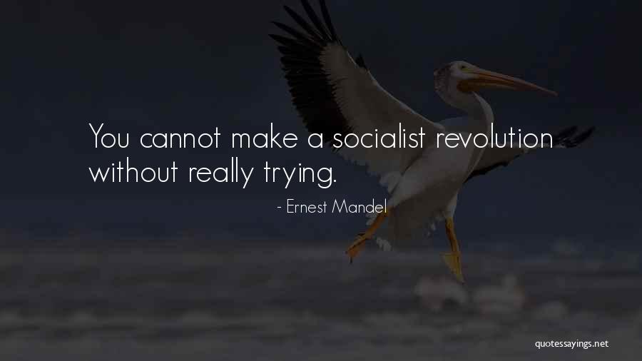 M Greengrass Quotes By Ernest Mandel M Greengrass Quotes By Ernest Mandel