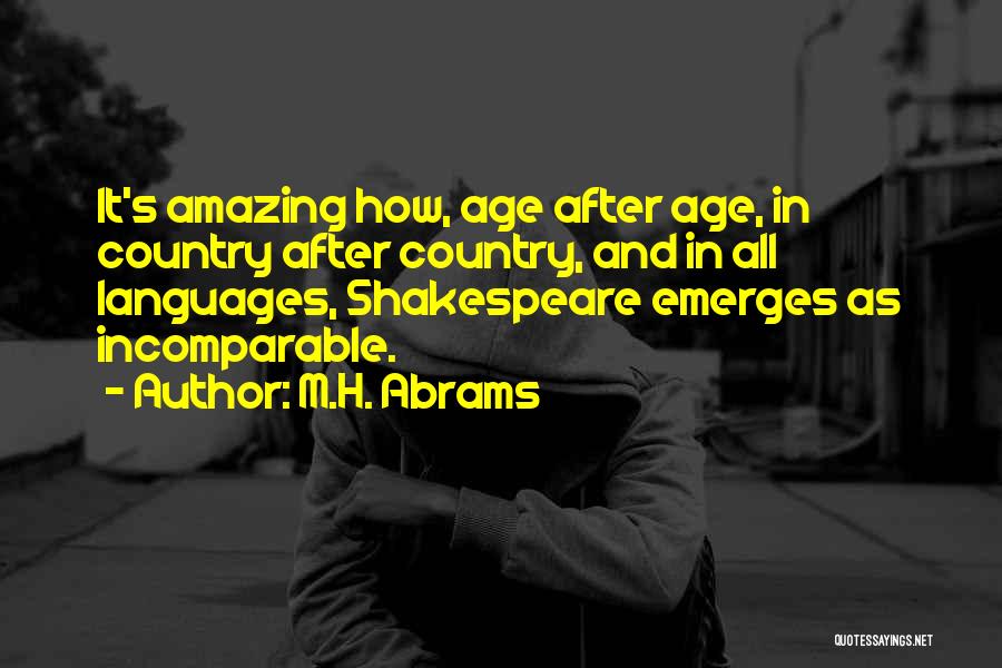M.H. Abrams Quotes 162161