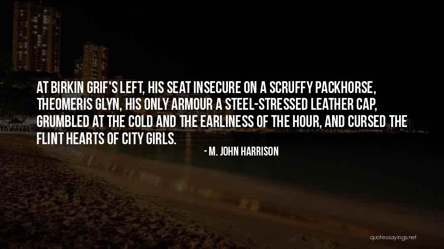 M. John Harrison Quotes 459845