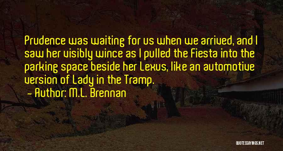 M.L. Brennan Quotes 2138018