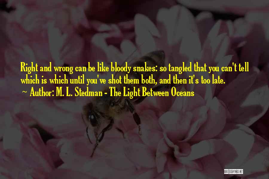 M. L. Stedman - The Light Between Oceans Quotes 1858331