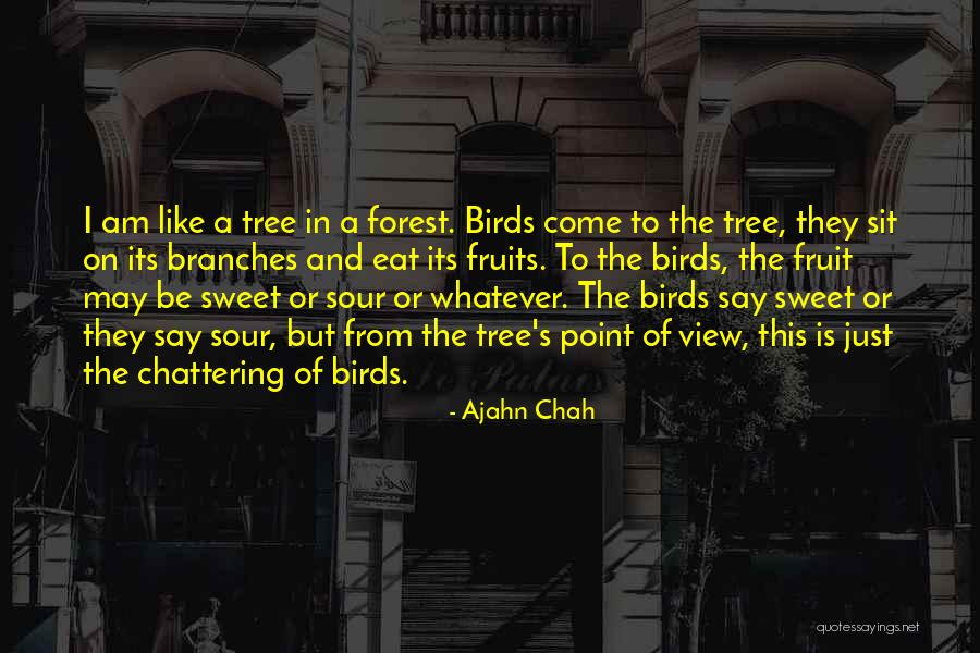 M Nnchen Magyarul Quotes By Ajahn Chah M Nnchen Magyarul Quotes By Ajahn Chah