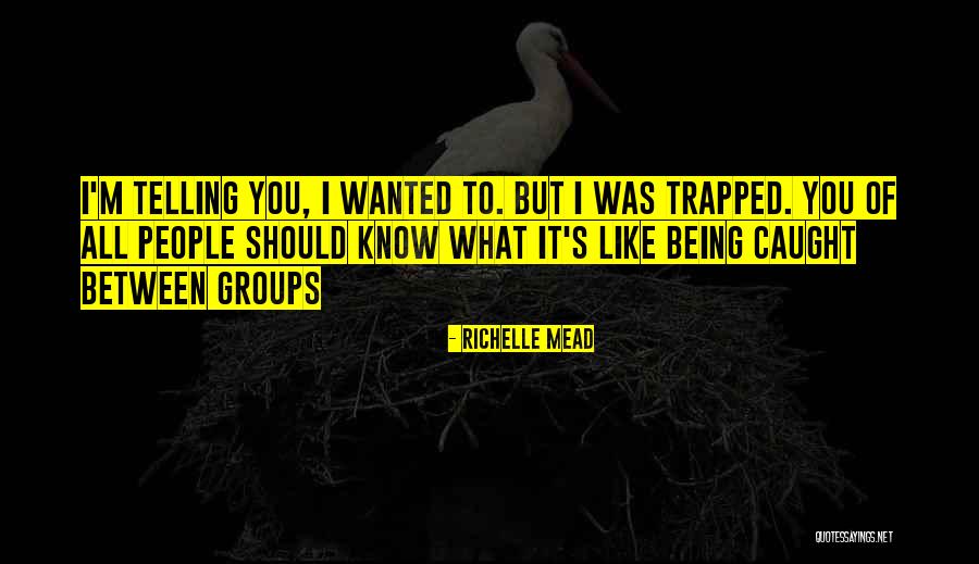M P For Sunyani West Quotes By Richelle Mead M P For Sunyani West Quotes By Richelle Mead