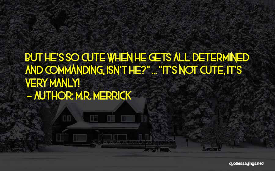 M.R. Merrick Quotes 2237560