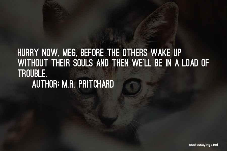 M.R. Pritchard Quotes 1549985