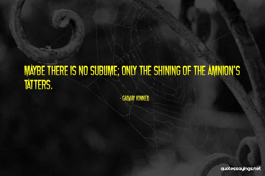 M Rtott Keszty Quotes By Galway Kinnell M Rtott Keszty Quotes By Galway Kinnell