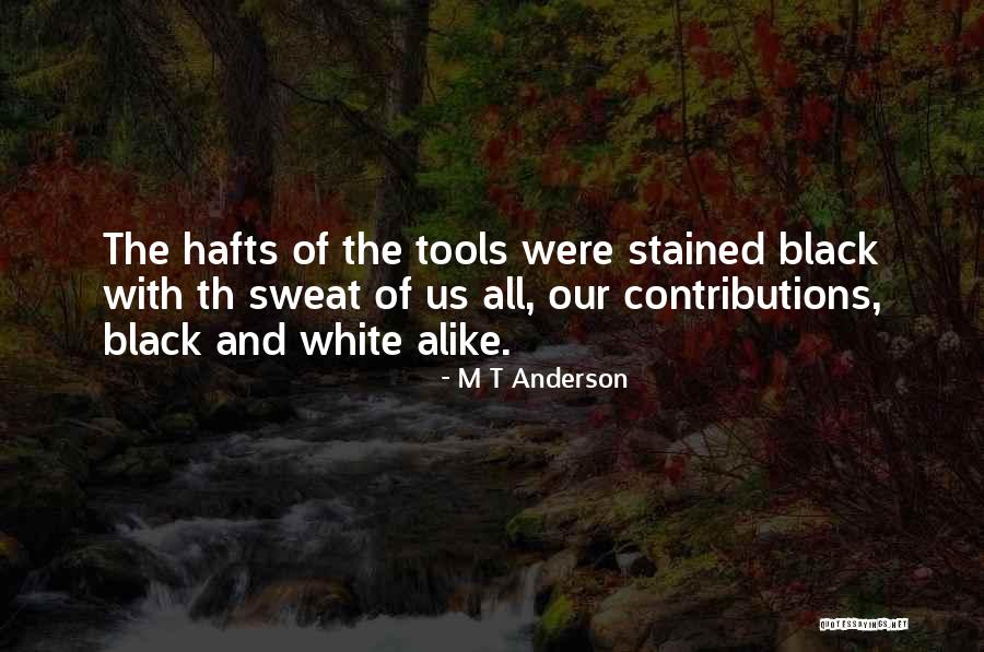 M T Anderson Quotes 1010307