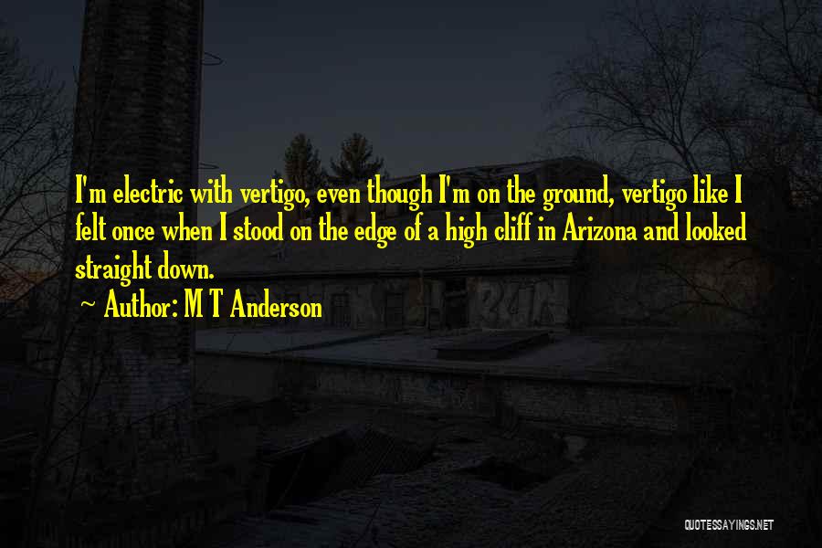 M T Anderson Quotes 1626844