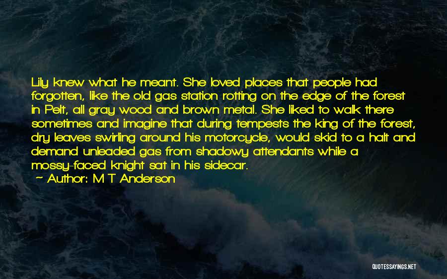 M T Anderson Quotes 546010