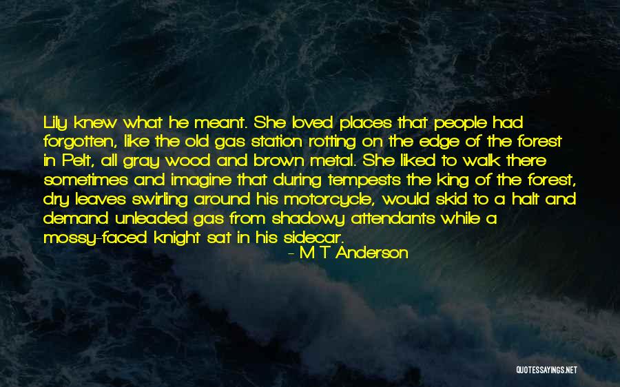 M T Anderson Quotes 546010 M T Anderson Quotes 546010