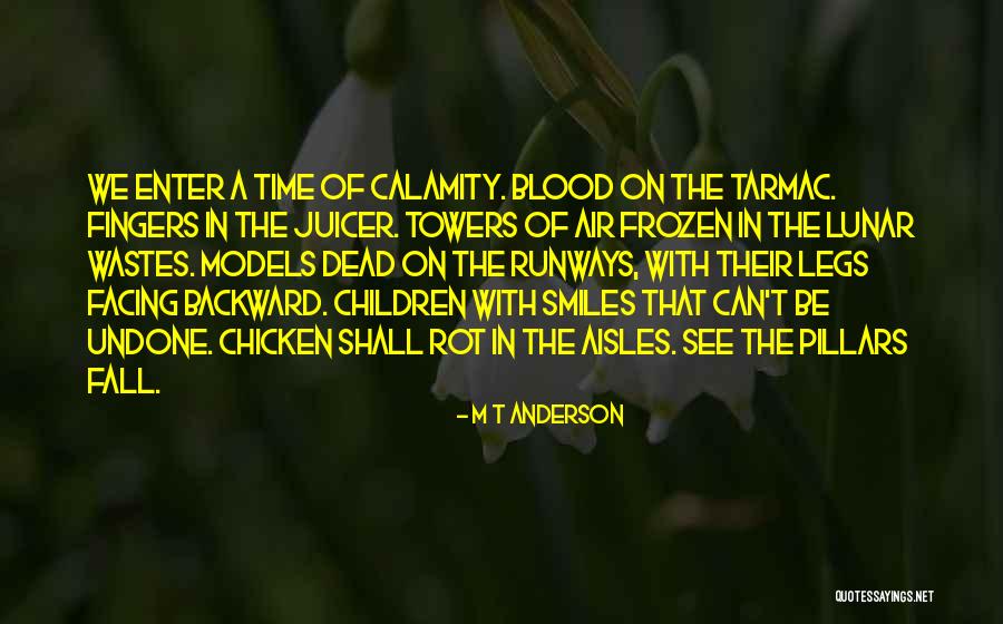 M T Anderson Quotes 88378