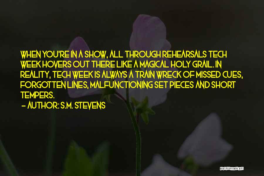 M Tech Quotes By S.M. Stevens