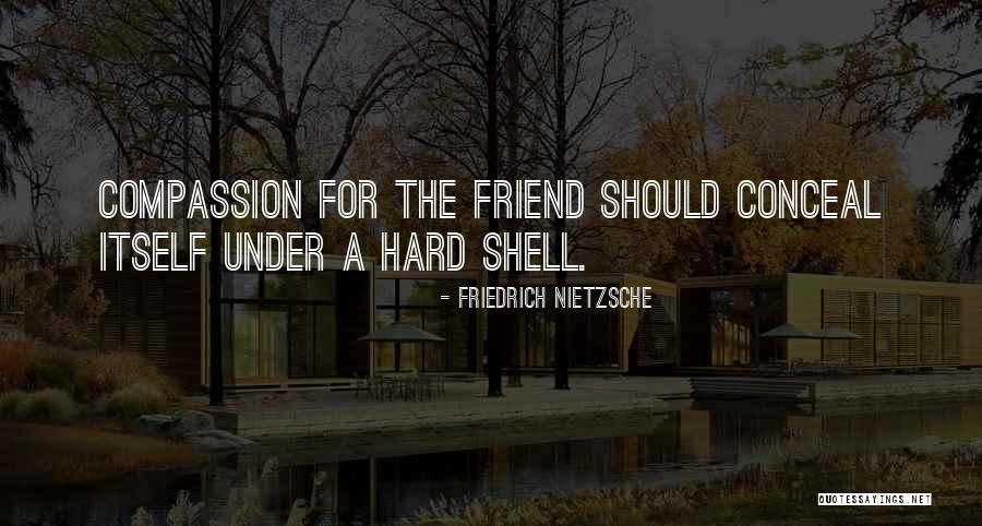 Maaf Aku Mencintaimu Quotes By Friedrich Nietzsche