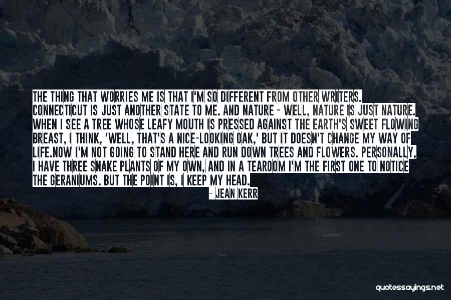 Maagd Betekenis Quotes By Jean Kerr Maagd Betekenis Quotes By Jean Kerr
