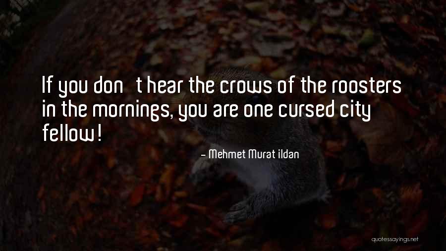 Maalesef Malesef Quotes By Mehmet Murat Ildan Maalesef Malesef Quotes By Mehmet Murat Ildan