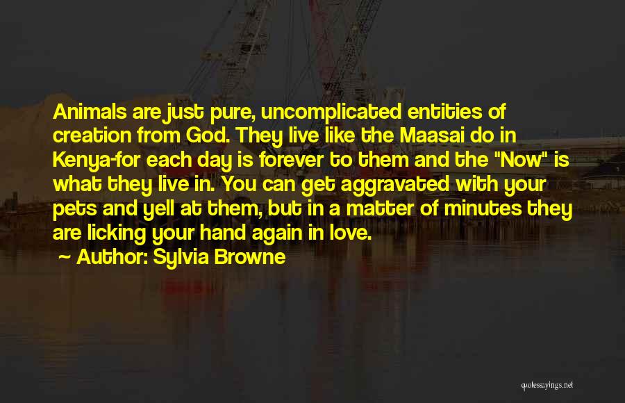 Maasai Love Quotes By Sylvia Browne