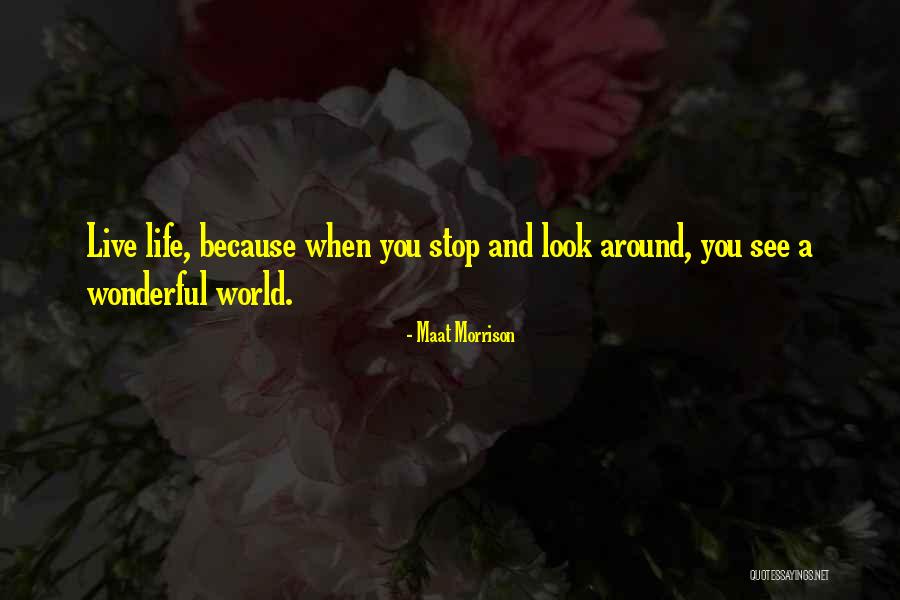 Maat Morrison Quotes 508594 Maat Morrison Quotes 508594