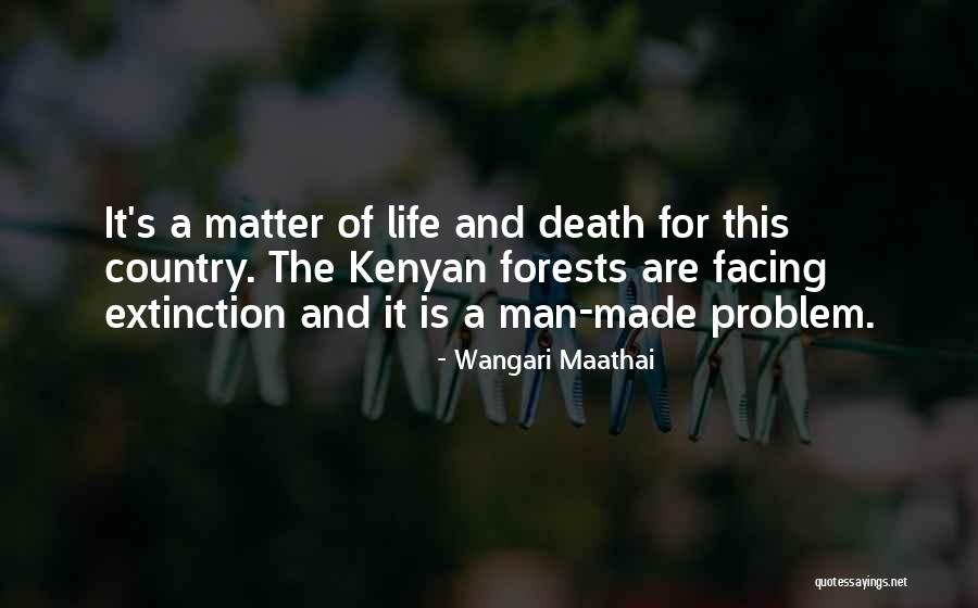 Maathai Quotes By Wangari Maathai Maathai Quotes By Wangari Maathai