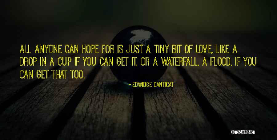 Maatschappelijk Assistent Quotes By Edwidge Danticat Maatschappelijk Assistent Quotes By Edwidge Danticat