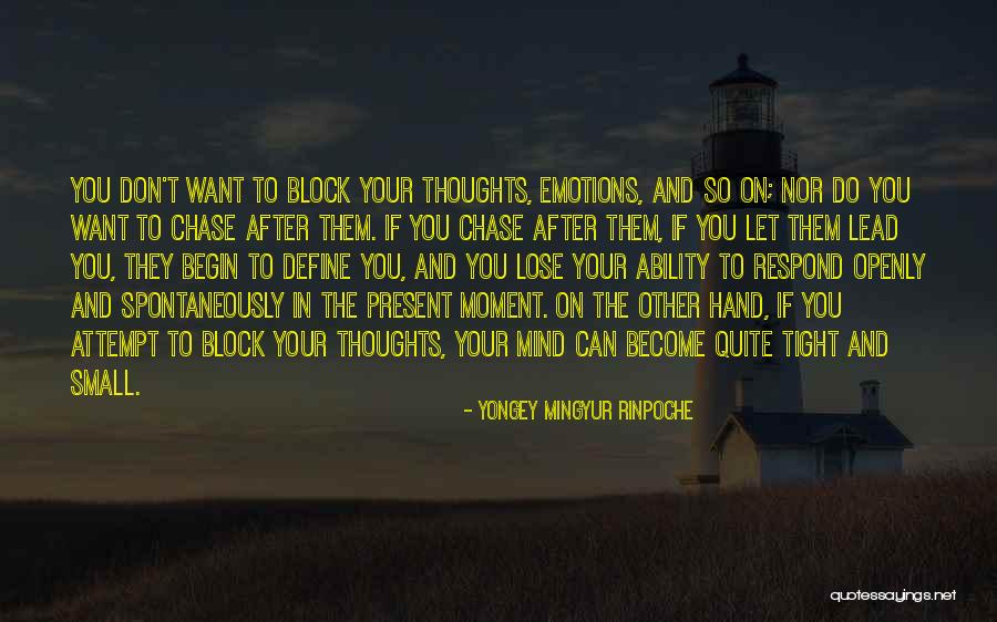 Maayan Zilberman Quotes By Yongey Mingyur Rinpoche Maayan Zilberman Quotes By Yongey Mingyur Rinpoche