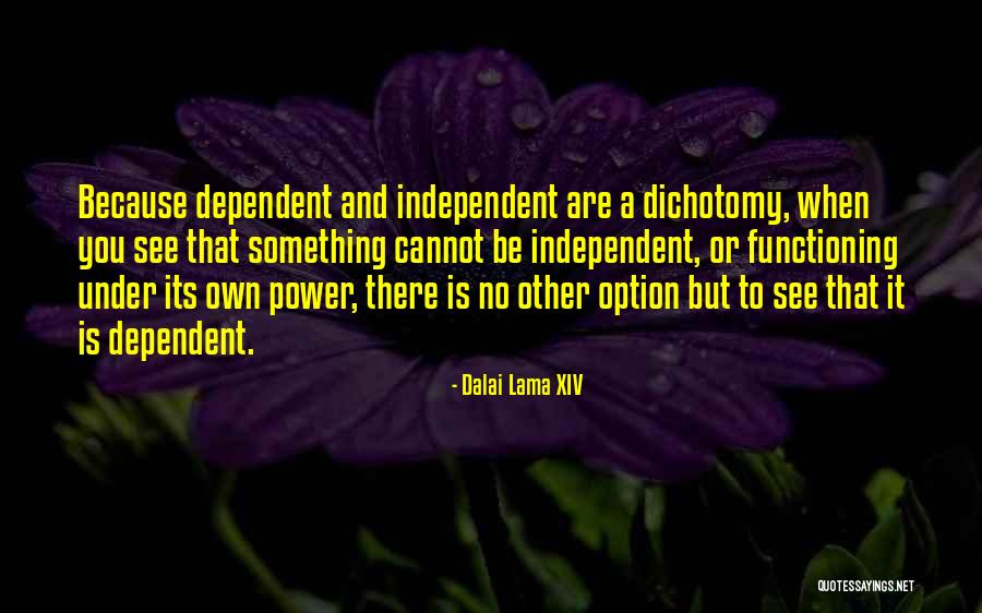 Mabasa Africa Quotes By Dalai Lama XIV Mabasa Africa Quotes By Dalai Lama XIV
