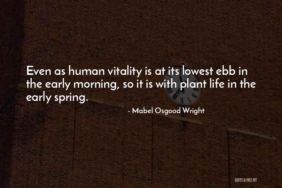 Mabel Osgood Wright Quotes 1183302