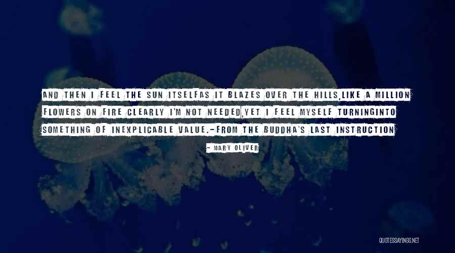 Mabele Porridge Quotes By Mary Oliver