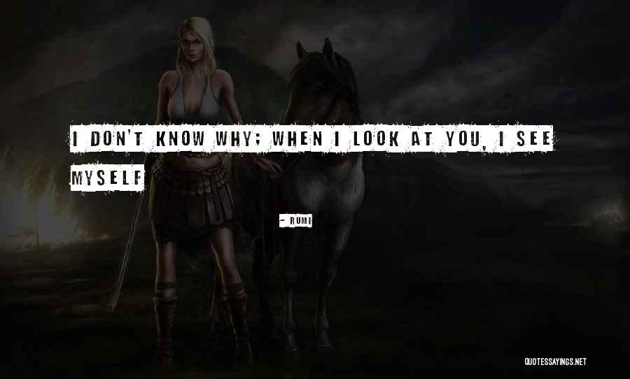 Mablean Ephraim Quotes By Rumi Mablean Ephraim Quotes By Rumi