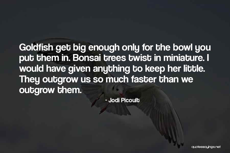 Macaklin Quotes By Jodi Picoult Macaklin Quotes By Jodi Picoult