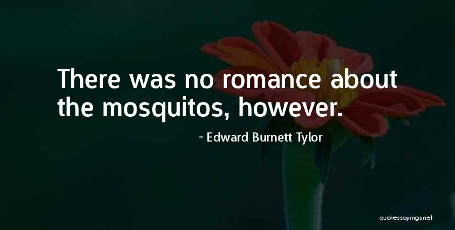 Macallan Whiskey Quotes By Edward Burnett Tylor Macallan Whiskey Quotes By Edward Burnett Tylor