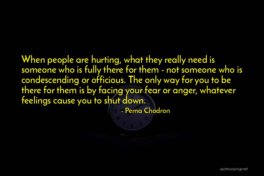 Macaulays Works Quotes By Pema Chodron Macaulays Works Quotes By Pema Chodron