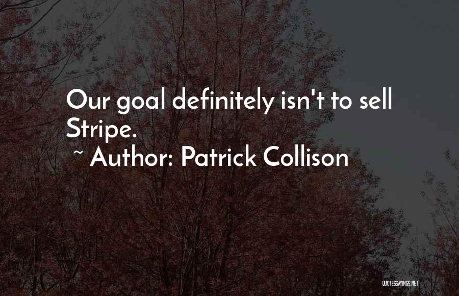 Macaw Parrot Quotes By Patrick Collison