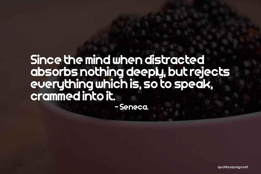 Macaws Furniture Quotes By Seneca. Macaws Furniture Quotes By Seneca.