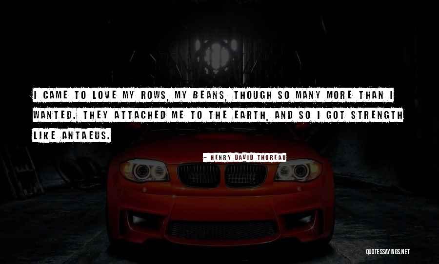 Macbeth Hag Quotes By Henry David Thoreau Macbeth Hag Quotes By Henry David Thoreau
