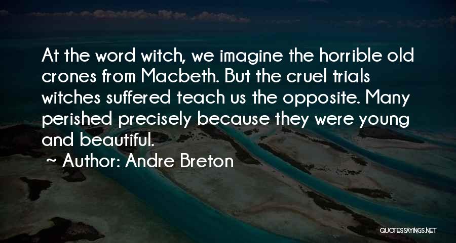 Macbeth Witches Quotes By Andre Breton