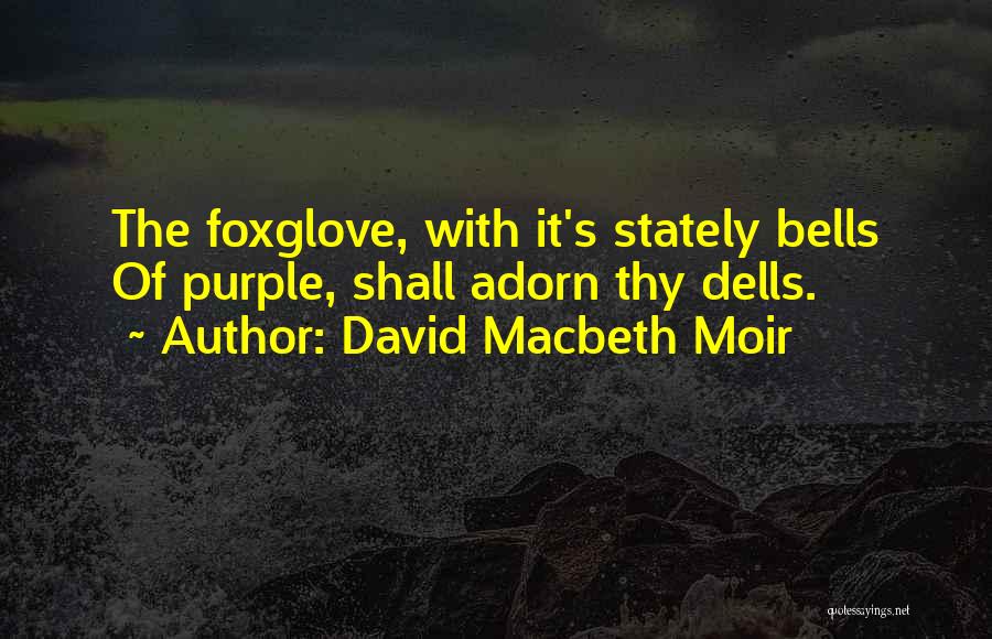 Macbeth's Quotes By David Macbeth Moir